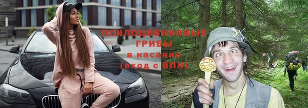 амф Заводоуковск