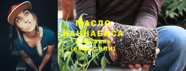 соль ск Елабуга