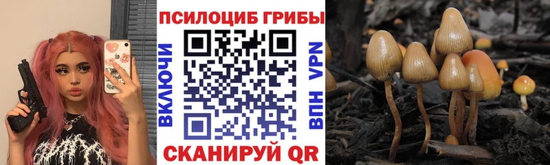 Псилоцибиновые грибы мицелий  Давлеканово 